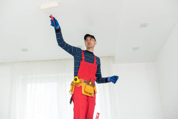 Best Mold Remediation for Vacation Homes  in USA